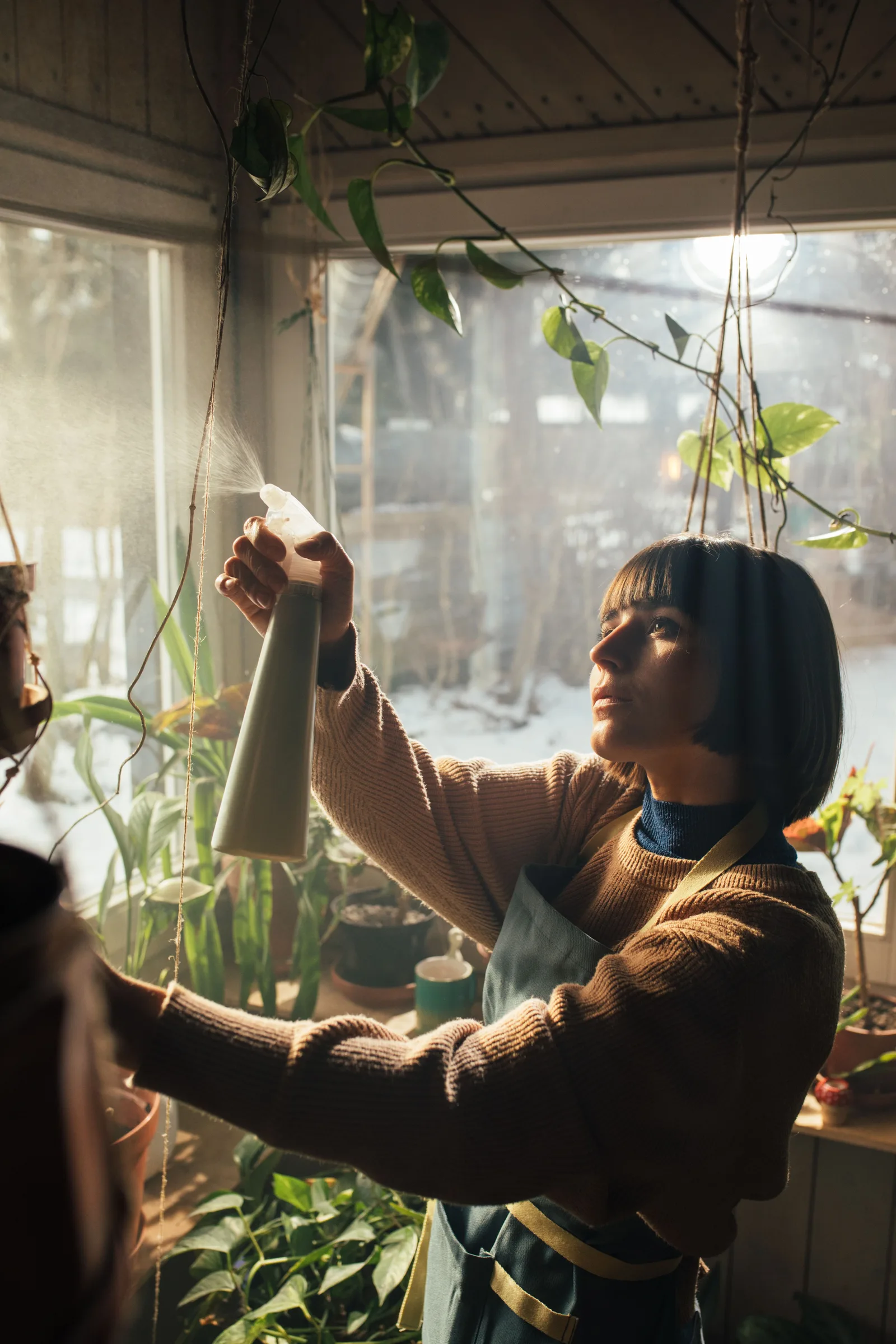 A woman with short hair sprinkles water on plants in a sunlit indoor garden wearing a cozy sweater.