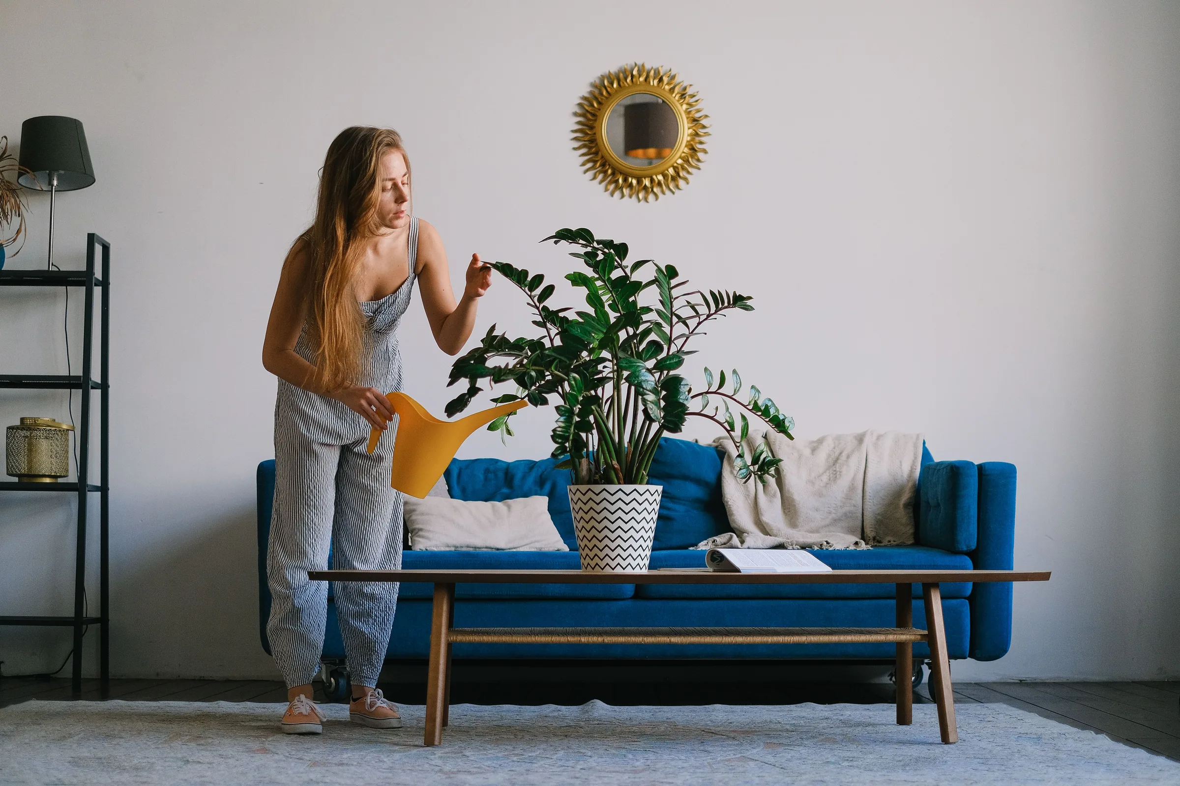 When to Actually Feed Houseplants (and When to Leave Them Alone)