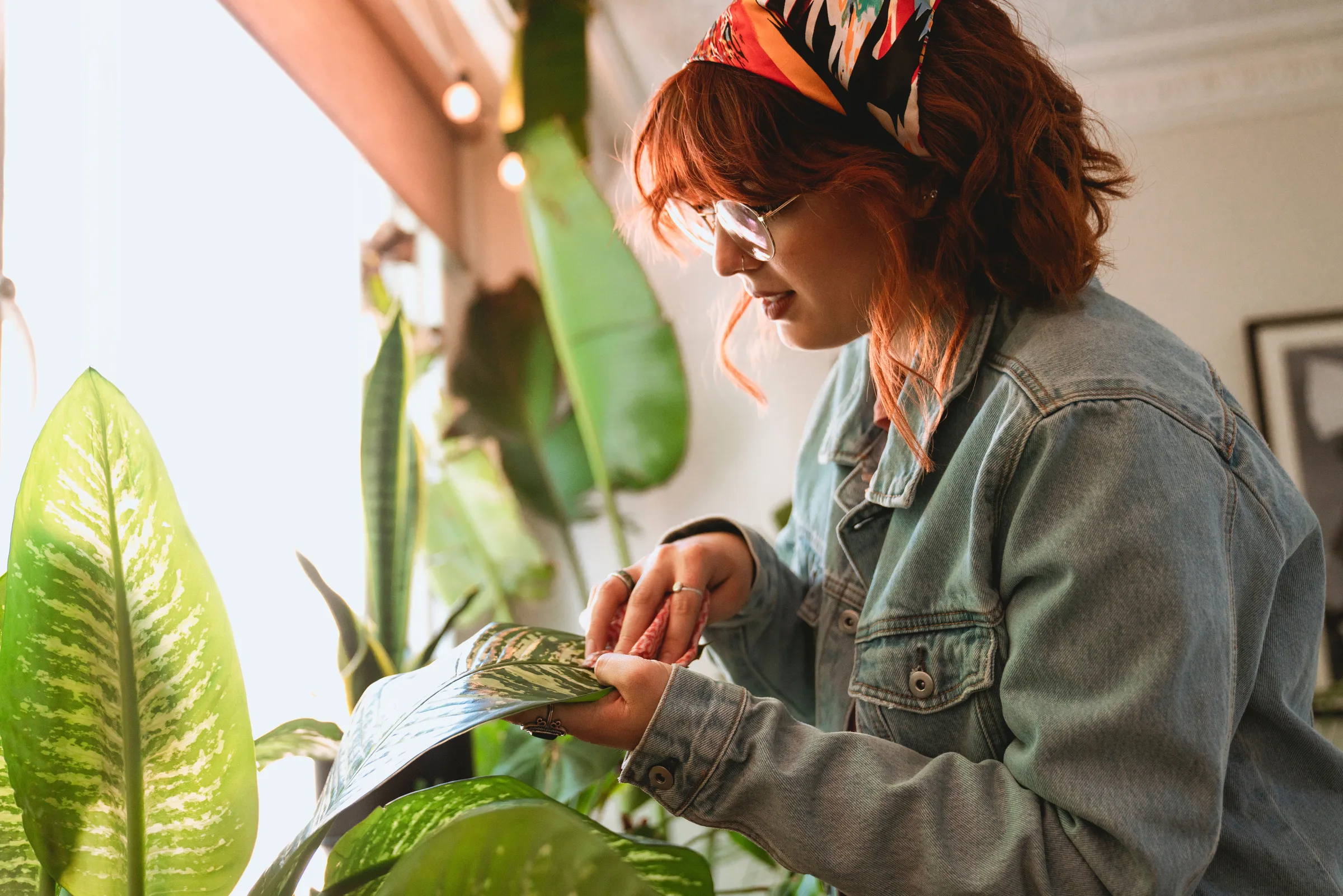 The Houseplants That Actually Survive Inconsistent Care