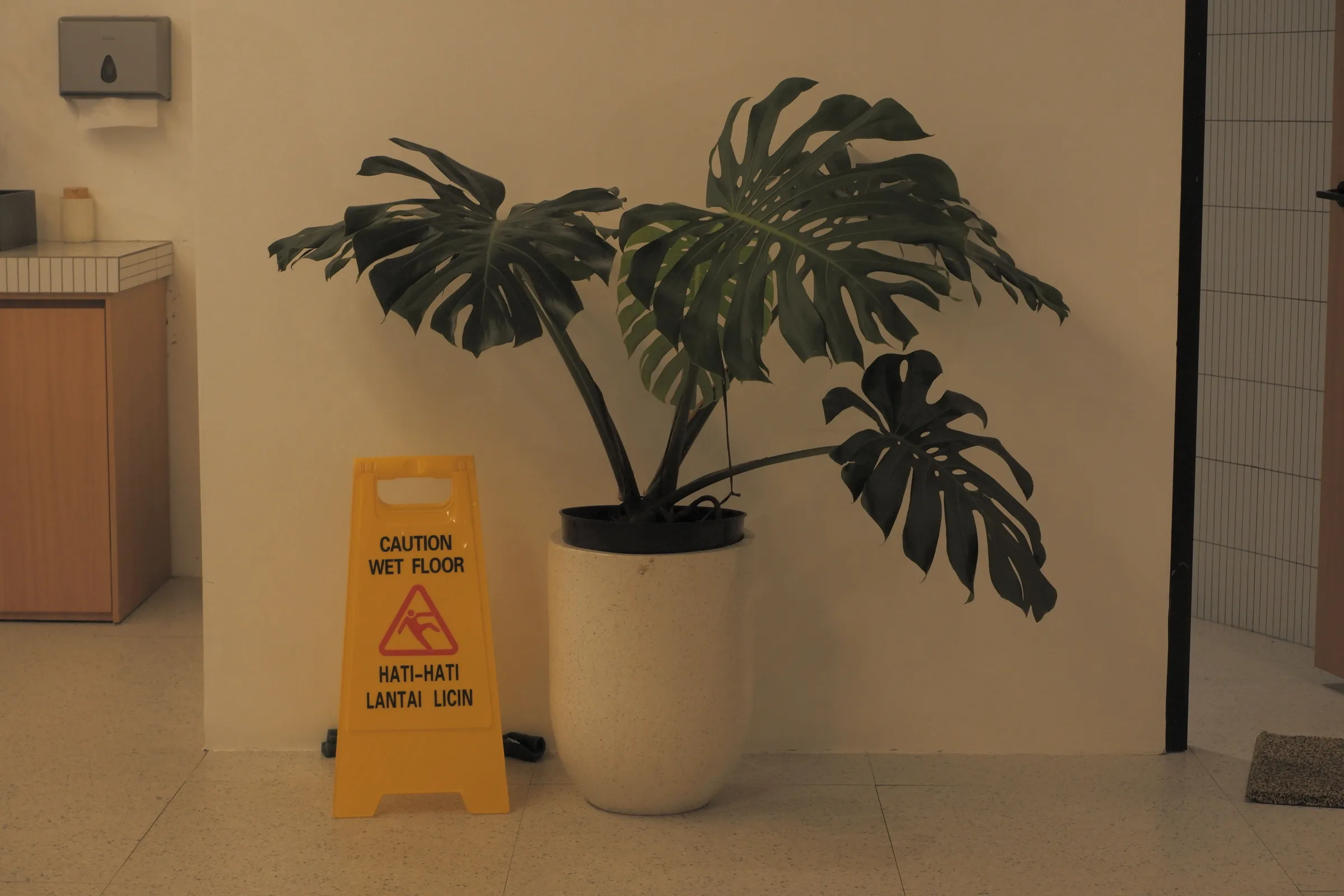 Monstera plant next to a wet floor caution sign in an indoor setting.