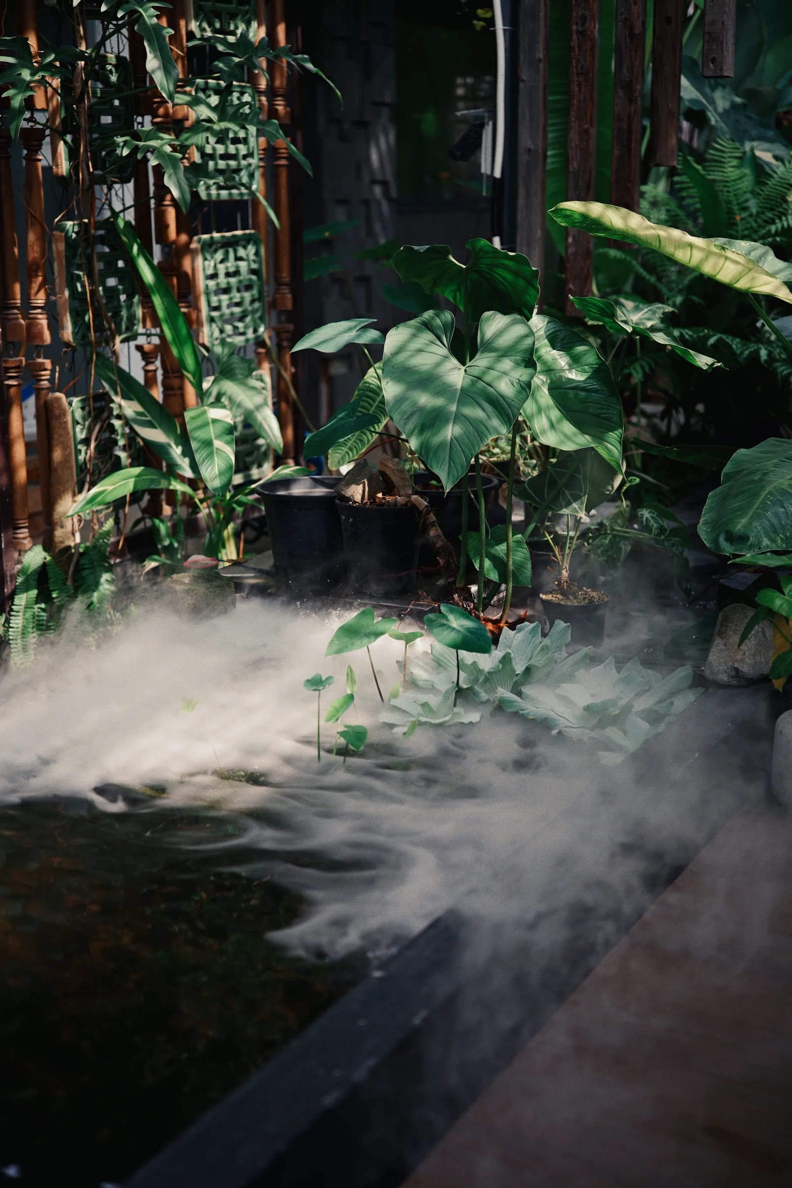 Indoor tropical garden scene with mist, lush greenery, and a tranquil pond.